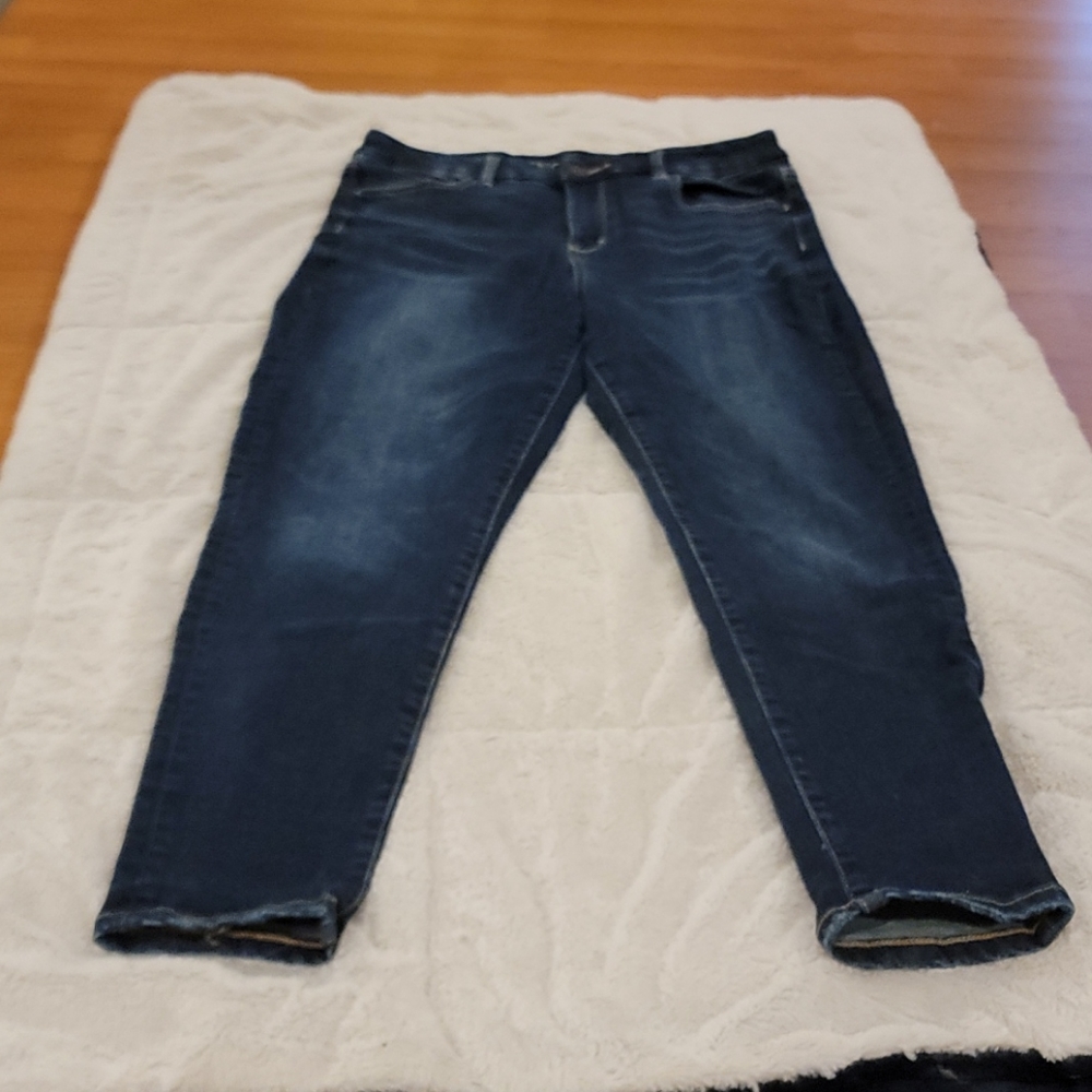 American Eagle Curvy Hi-Rise Jegging 10S